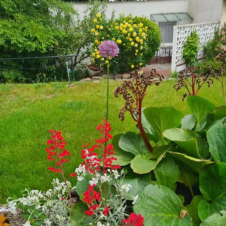 Seemoewe Usedom הרינגסדורף