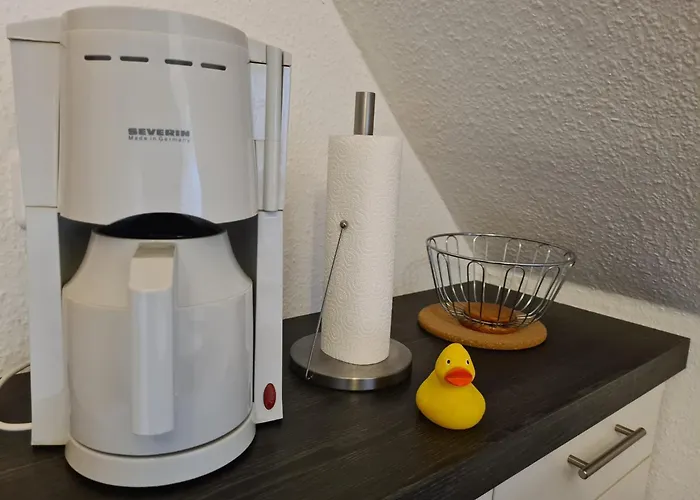 Seemöwe Usedom Apartment Ostseebad Heringsdorf